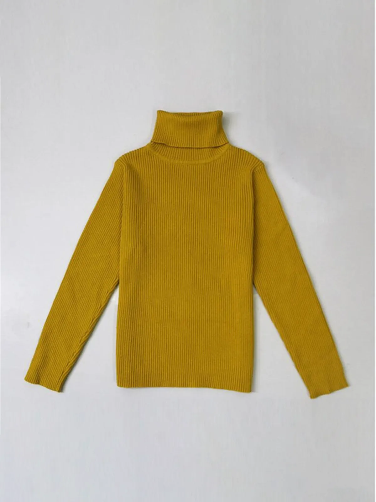 Basic Turtle Neck Sweater