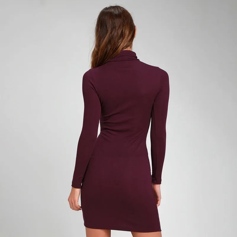 Long sleeve Sollar Slim Hip Dress