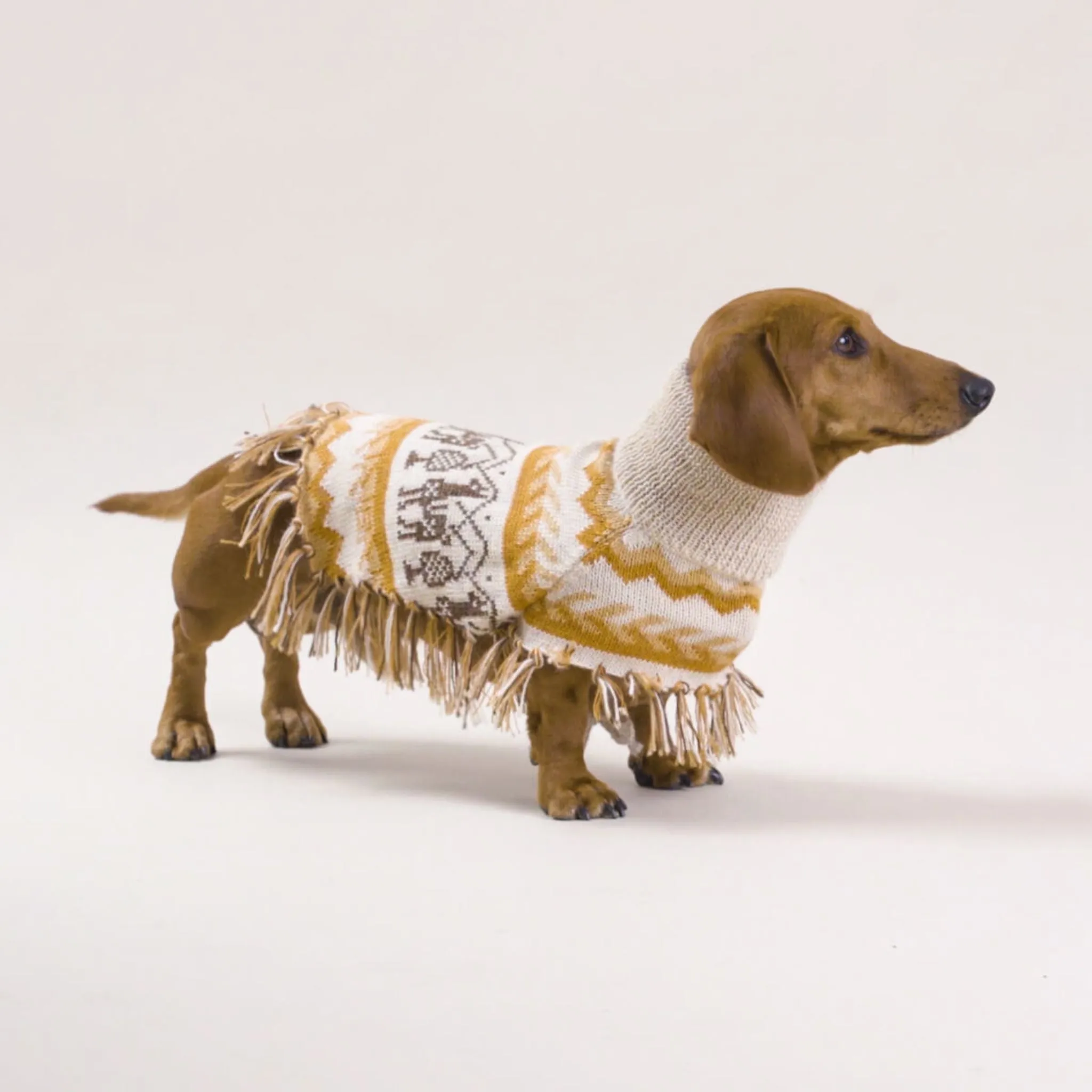 (New) Llama Natural Alpaca  Sweater Dog Poncho